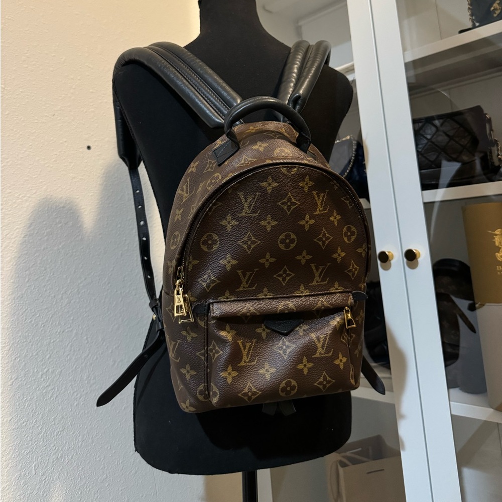Louis Vuitton Palm Spring  backpack